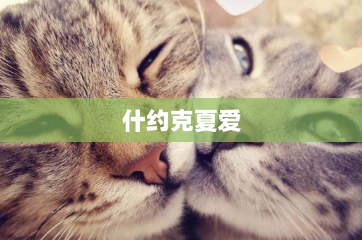 什約克夏愛