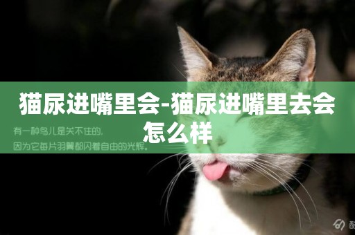 貓尿進嘴里會-貓尿進嘴里去會怎么樣