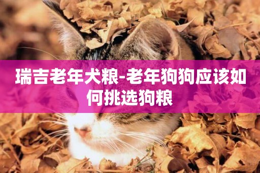 瑞吉老年犬糧-老年狗狗應該如何挑選狗糧