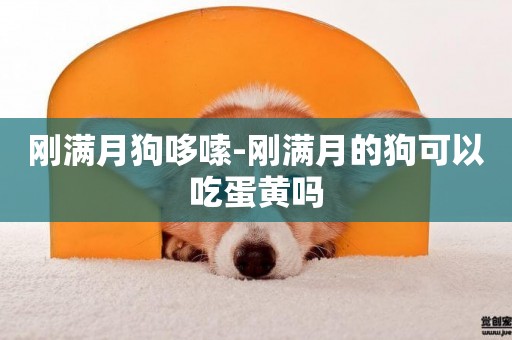 剛滿月狗哆嗦-剛滿月的狗可以吃蛋黃嗎