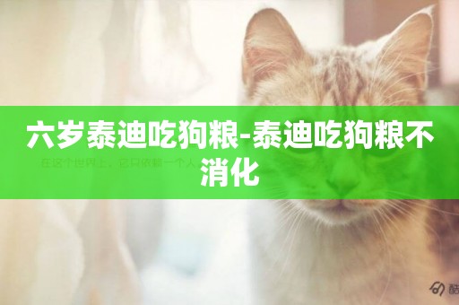 六歲泰迪吃狗糧-泰迪吃狗糧不消化