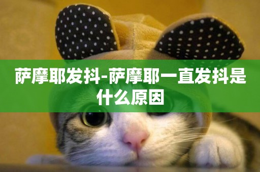 薩摩耶發抖-薩摩耶一直發抖是什么原因