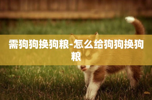 需狗狗換狗糧-怎么給狗狗換狗糧