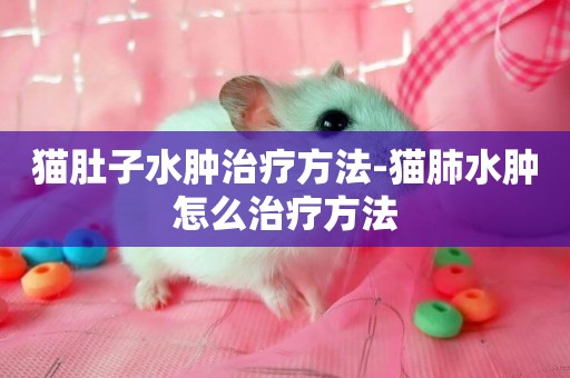貓肚子水腫治療方法-貓肺水腫怎么治療方法