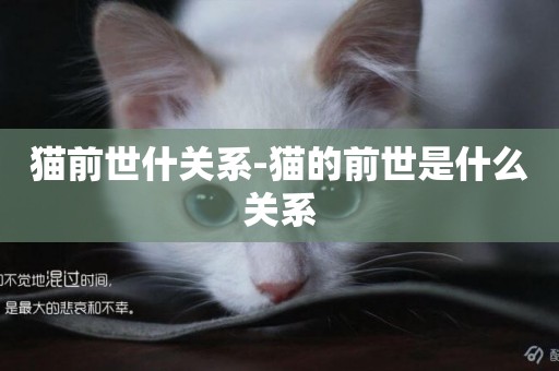 貓前世什關系-貓的前世是什么關系