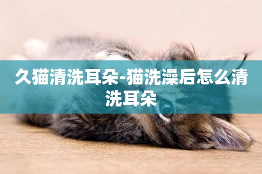 久貓清洗耳朵-貓洗澡后怎么清洗耳朵