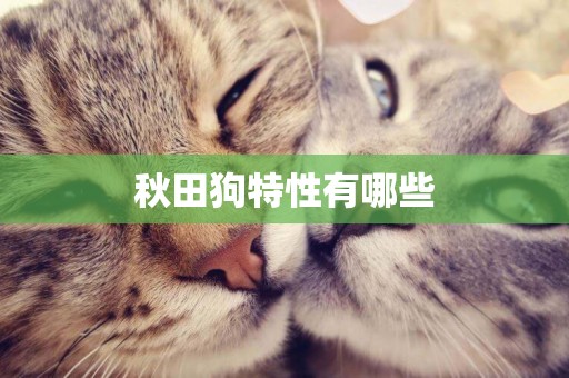 秋田狗特性有哪些