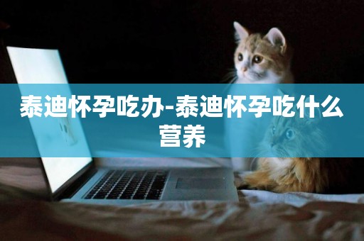 泰迪懷孕吃辦-泰迪懷孕吃什么營養
