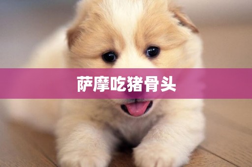 薩摩吃豬骨頭