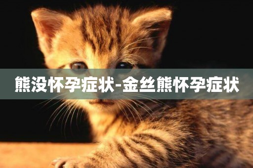 熊沒懷孕癥狀-金絲熊懷孕癥狀