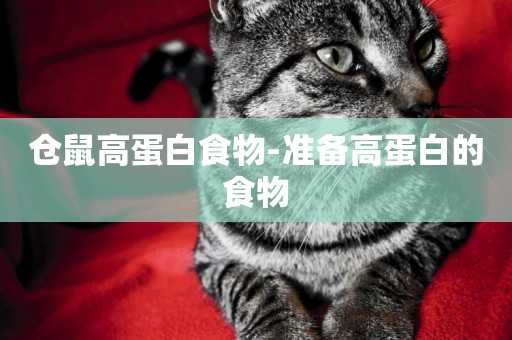 倉鼠高蛋白食物-準備高蛋白的食物