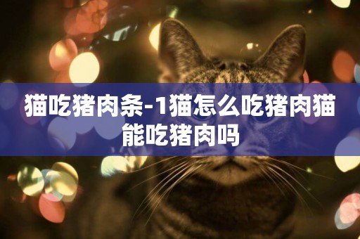 貓吃豬肉條-1貓怎么吃豬肉貓能吃豬肉嗎
