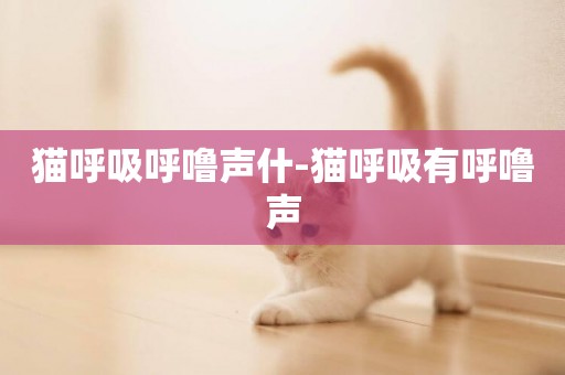 貓呼吸呼嚕聲什-貓呼吸有呼嚕聲