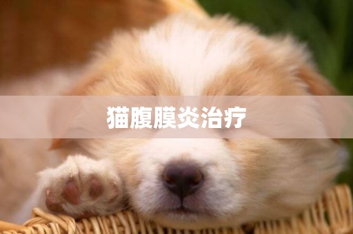 貓腹膜炎治療