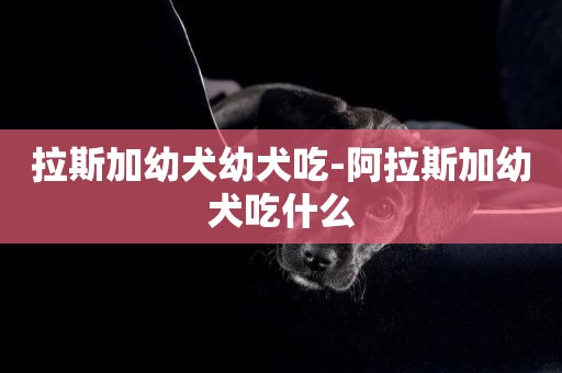 拉斯加幼犬幼犬吃-阿拉斯加幼犬吃什么