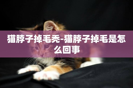 貓脖子掉毛禿-貓脖子掉毛是怎么回事