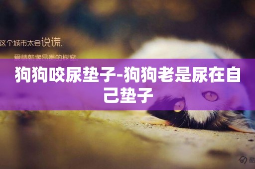 狗狗咬尿墊子-狗狗老是尿在自己墊子
