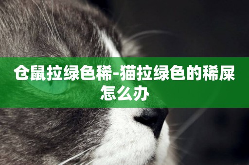 倉鼠拉綠色稀-貓拉綠色的稀屎怎么辦