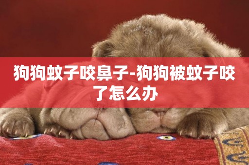 狗狗蚊子咬鼻子-狗狗被蚊子咬了怎么辦