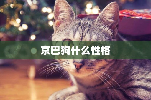 京巴狗什么性格