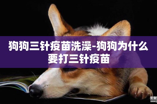狗狗三針疫苗洗澡-狗狗為什么要打三針疫苗