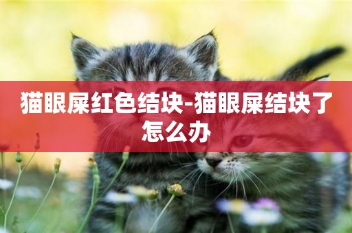 貓眼屎紅色結塊-貓眼屎結塊了怎么辦