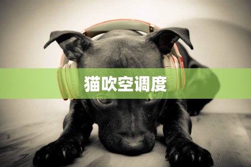 貓吹空調度