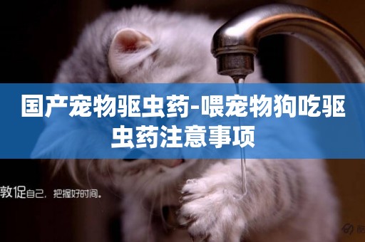 國產寵物驅蟲藥-喂寵物狗吃驅蟲藥注意事項