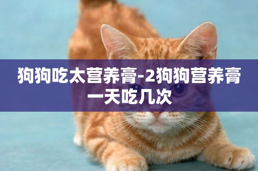 狗狗吃太營養膏-2狗狗營養膏一天吃幾次