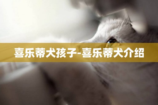 喜樂蒂犬孩子-喜樂蒂犬介紹