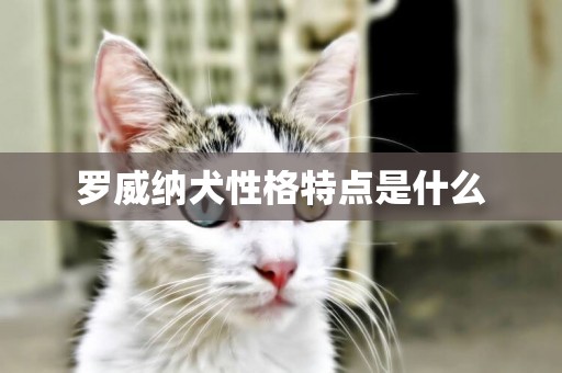 羅威納犬性格特點是什么