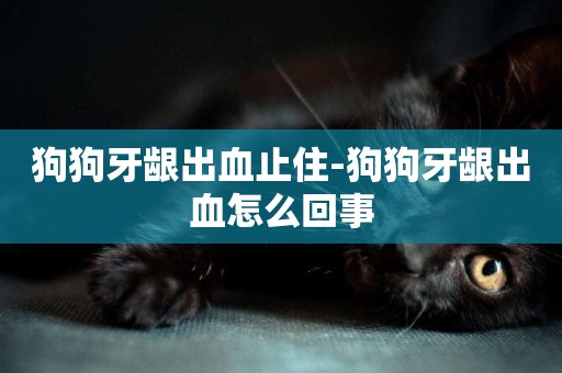 狗狗牙齦出血止住-狗狗牙齦出血怎么回事