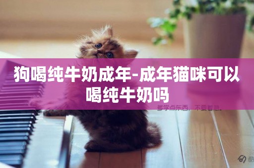 狗喝純牛奶成年-成年貓咪可以喝純牛奶嗎