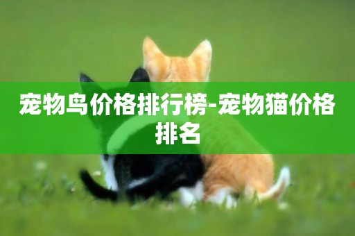 寵物鳥價格排行榜-寵物貓價格排名