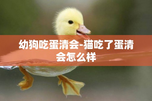 幼狗吃蛋清會-貓吃了蛋清會怎么樣