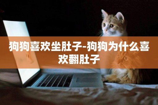 狗狗喜歡坐肚子-狗狗為什么喜歡翻肚子