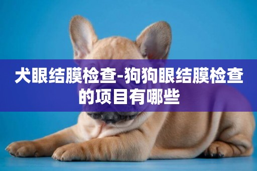 犬眼結膜檢查-狗狗眼結膜檢查的項目有哪些