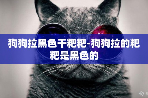 狗狗拉黑色干粑粑-狗狗拉的粑粑是黑色的