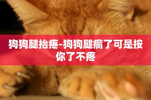 狗狗腿抬疼-狗狗腿瘸了可是按你了不疼