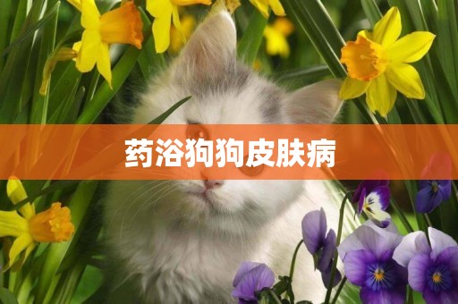 藥浴狗狗皮膚病
