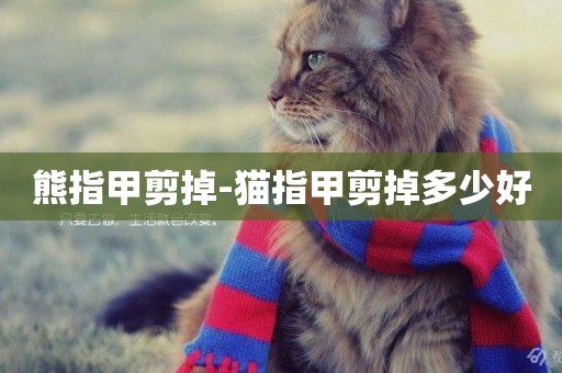 熊指甲剪掉-貓指甲剪掉多少好