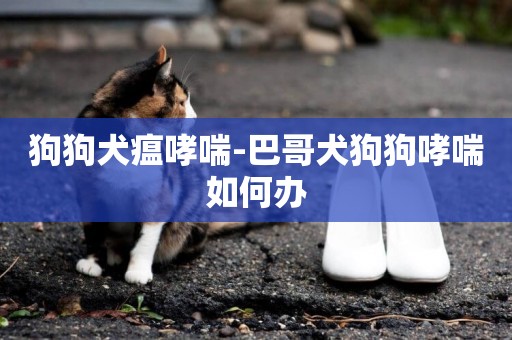 狗狗犬瘟哮喘-巴哥犬狗狗哮喘如何辦