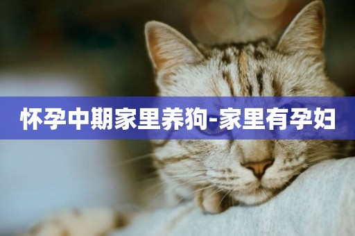 懷孕中期家里養狗-家里有孕婦