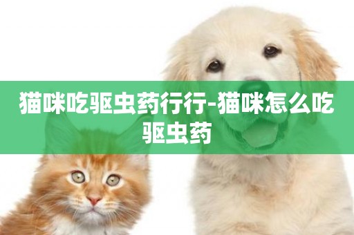 貓咪吃驅蟲藥行行-貓咪怎么吃驅蟲藥