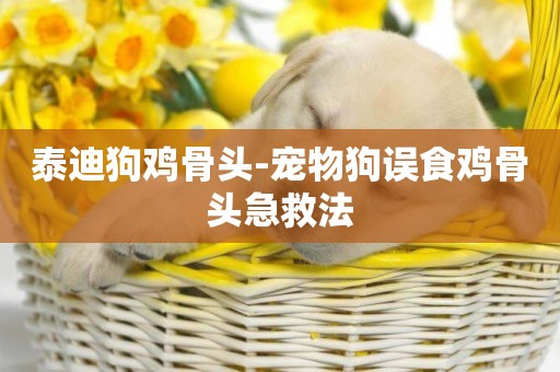 泰迪狗雞骨頭-寵物狗誤食雞骨頭急救法