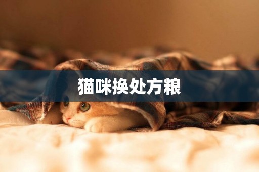貓咪換處方糧