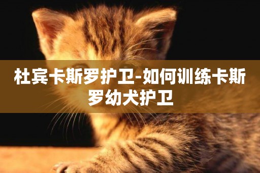杜賓卡斯羅護衛-如何訓練卡斯羅幼犬護衛