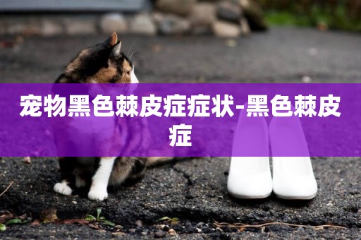 寵物黑色棘皮癥癥狀-黑色棘皮癥