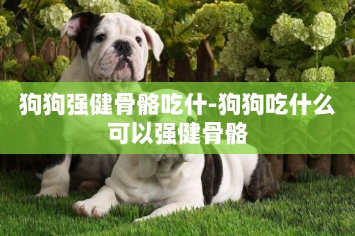 狗狗強健骨骼吃什-狗狗吃什么可以強健骨骼