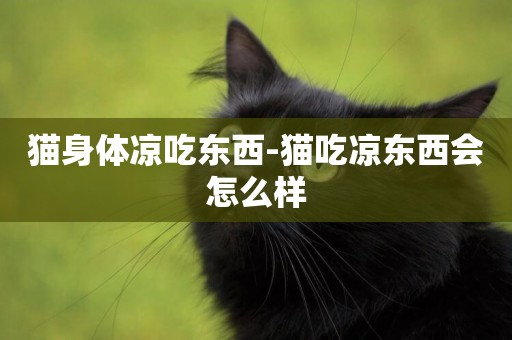 貓身體涼吃東西-貓吃涼東西會怎么樣